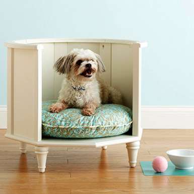 Create a stylish place for your dog to relax by building a bed made 
